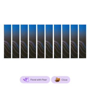 Terea Berrine Edition 10 Packs